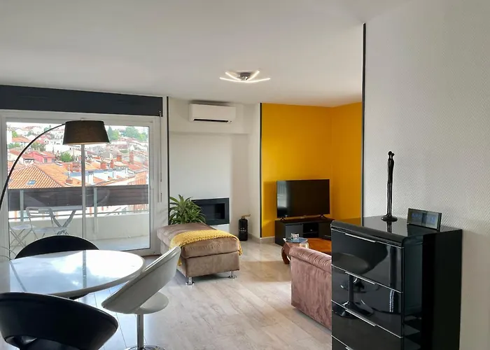Appart\' Urbain Chic A Toulouse - Climatisation